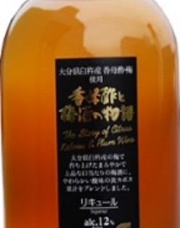 import Special mix Plum sake wine round bottle