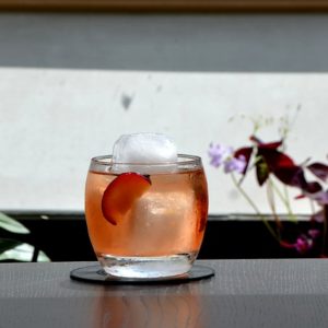 sake-cocktail